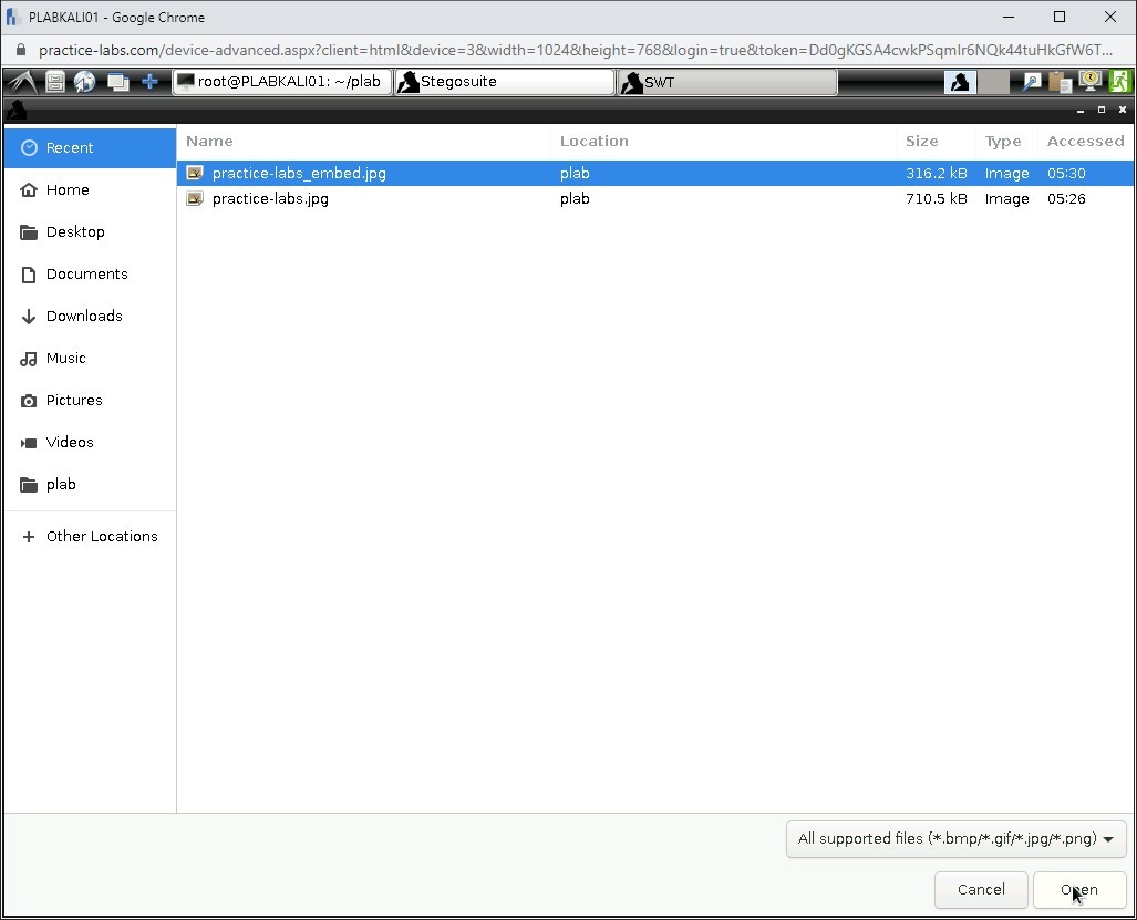 Figure 1.55 Screenshot of PLABKALI01