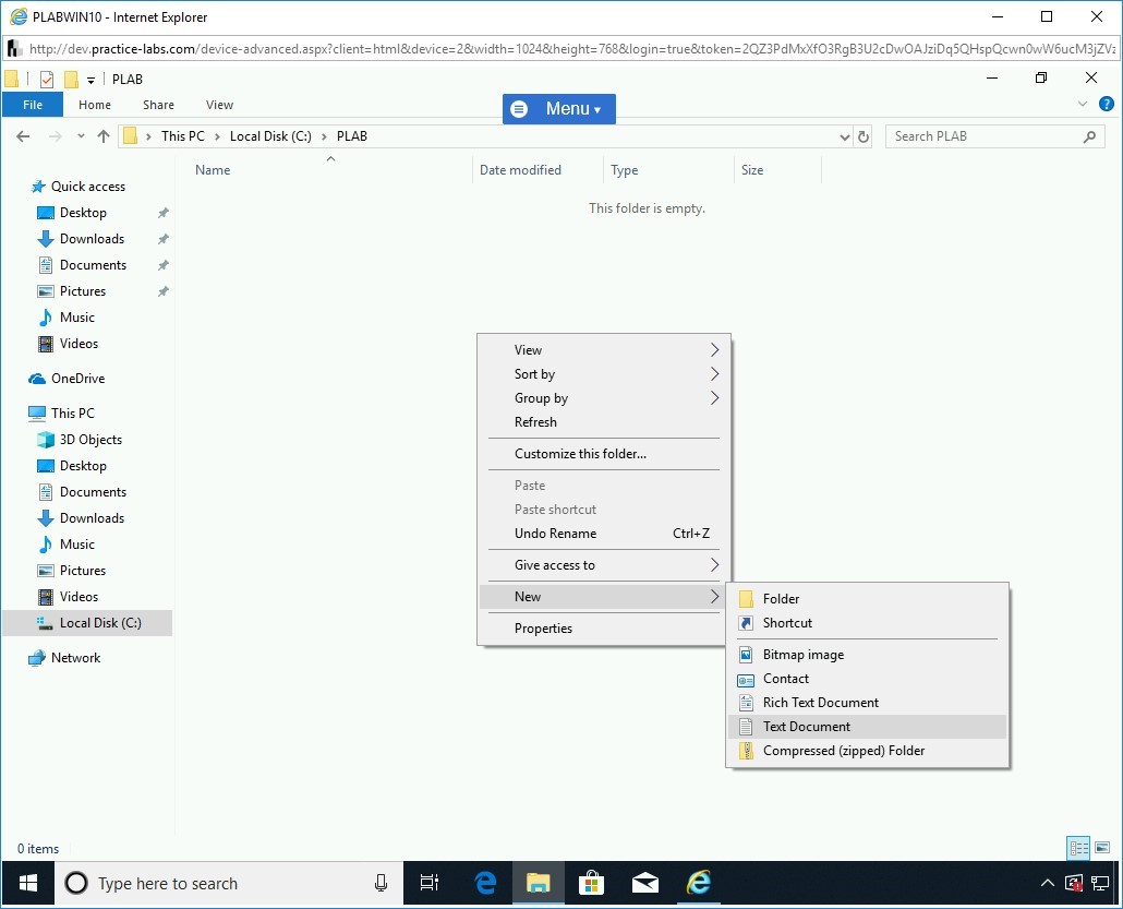 Figure 1.6 Screenshot of PLABWIN10