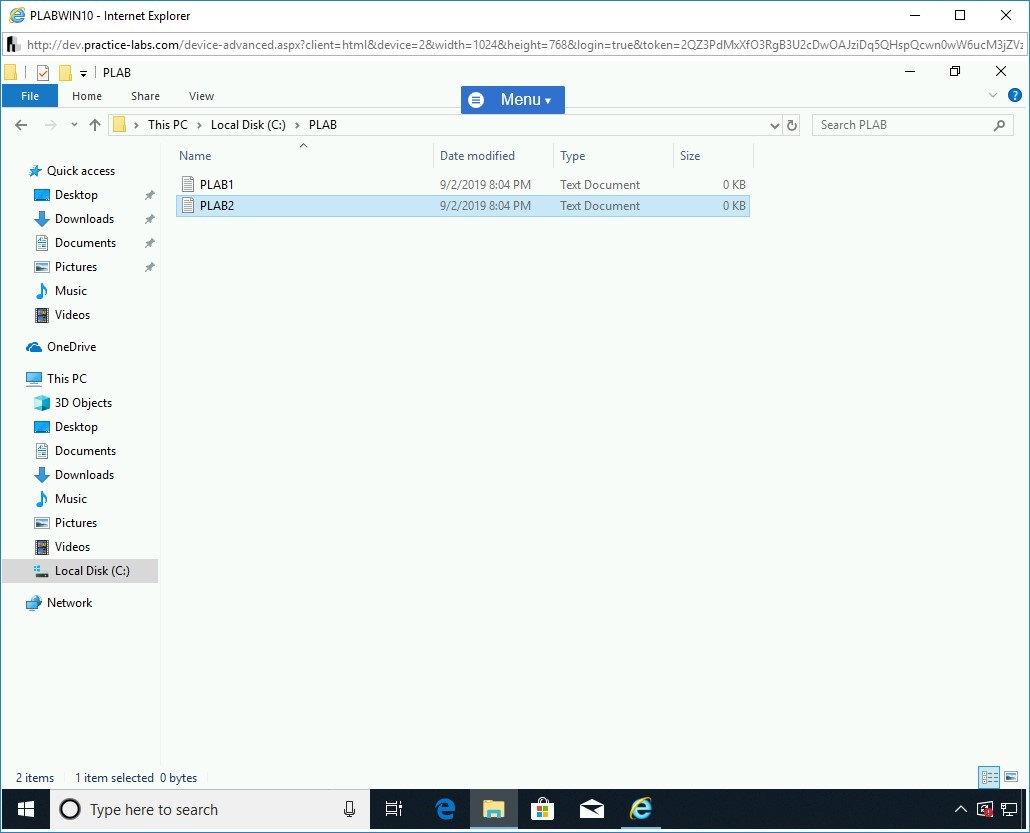 Figure 1.7 Screenshot of PLABWIN10