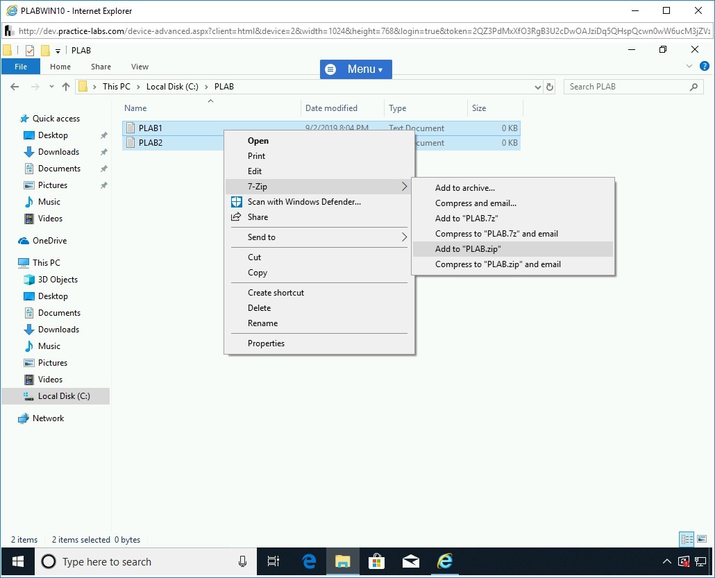 Figure 1.8 Screenshot of PLABWIN10