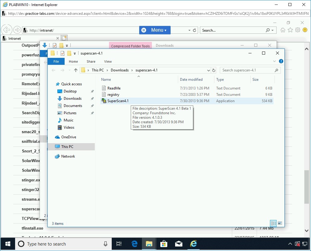 Figure 1.9 Screenshot of PLABWIN10