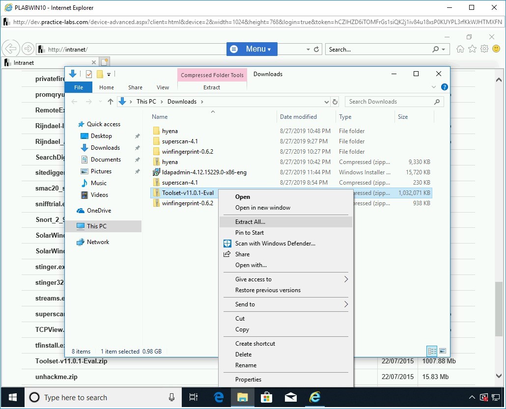 Figure 1.101 Screenshot of PLABWIN10