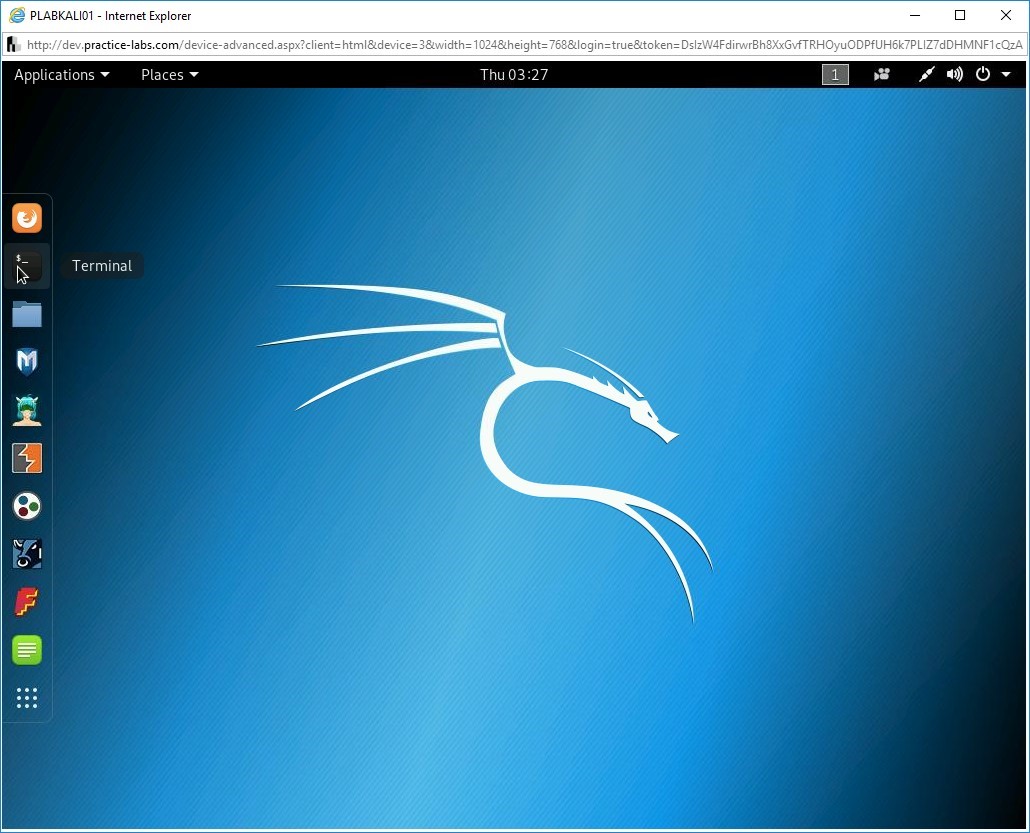 Figure 2.2 Screenshot of PLABKALI01
