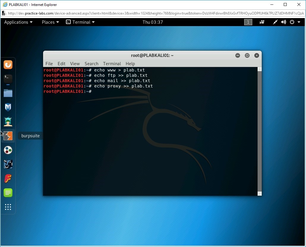 Figure 2.7 Screenshot of PLABKALI01