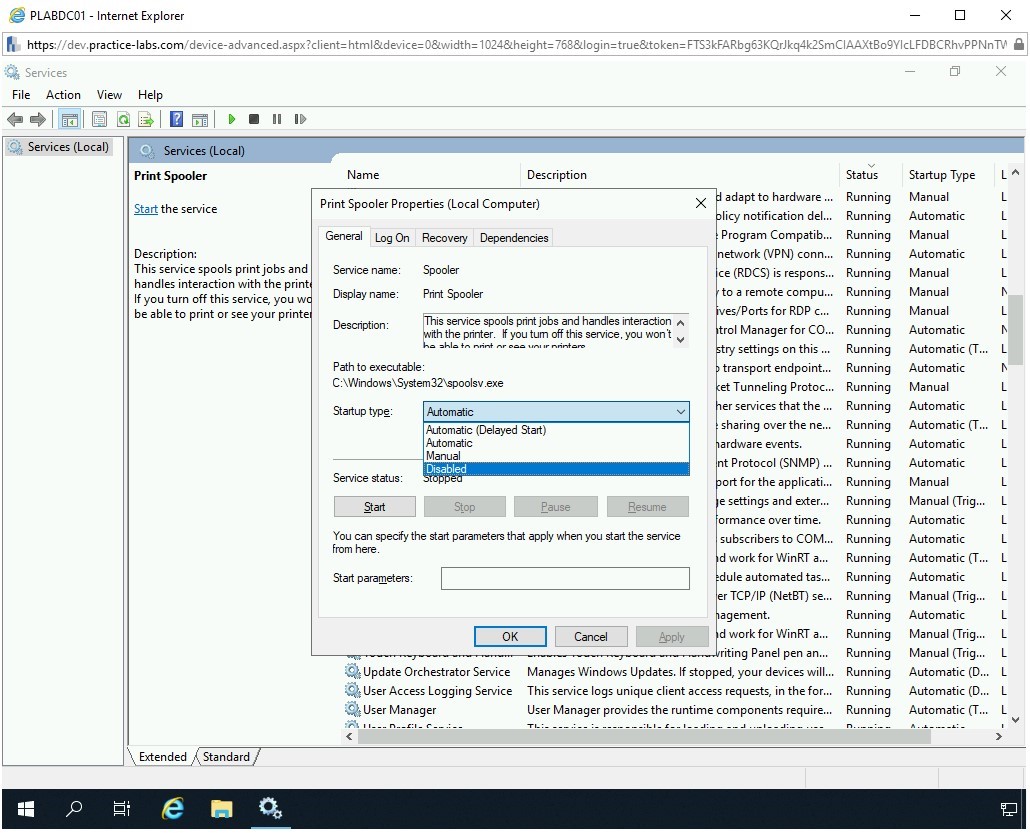 Figure 3.31 Screenshot of PLABWIN10
