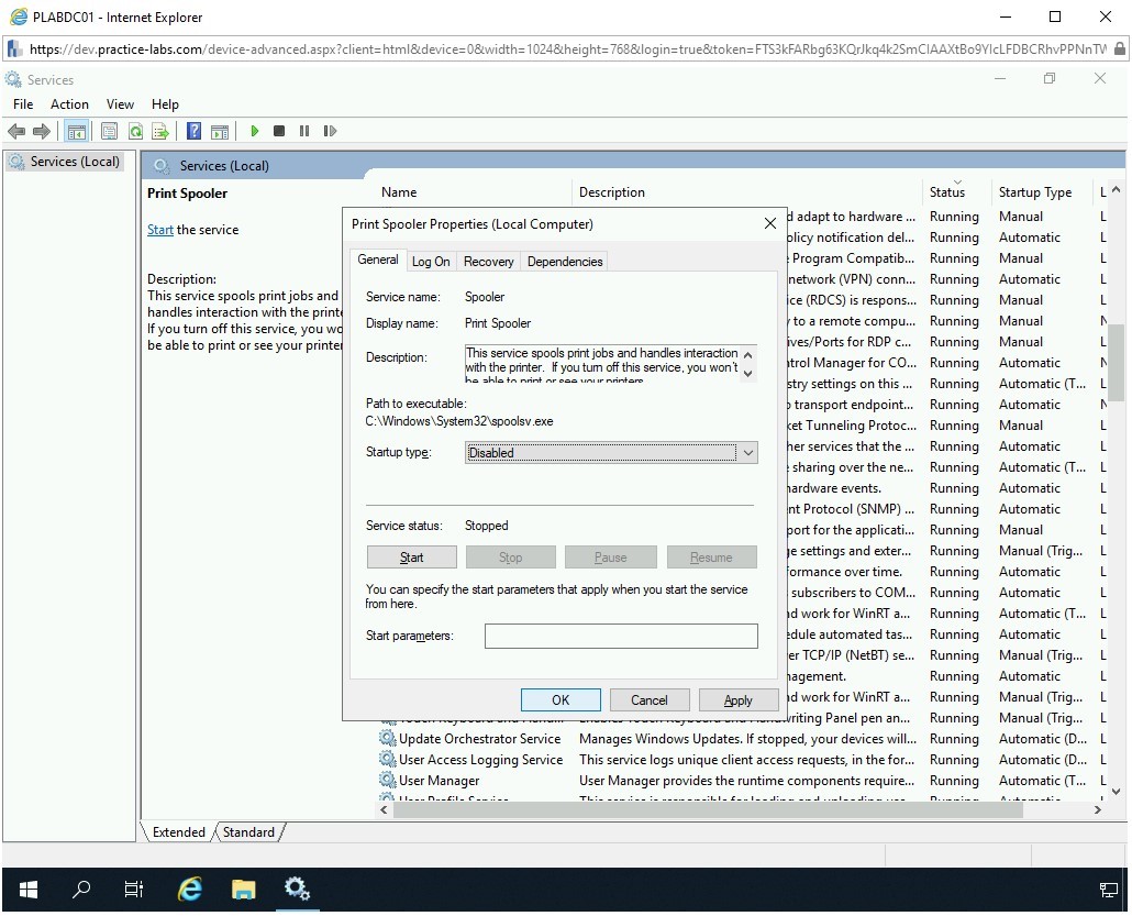 Figure 3.32 Screenshot of PLABWIN10