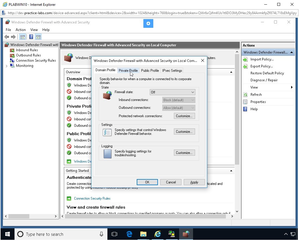 Figure 1.20 Screenshot of PLABWIN10