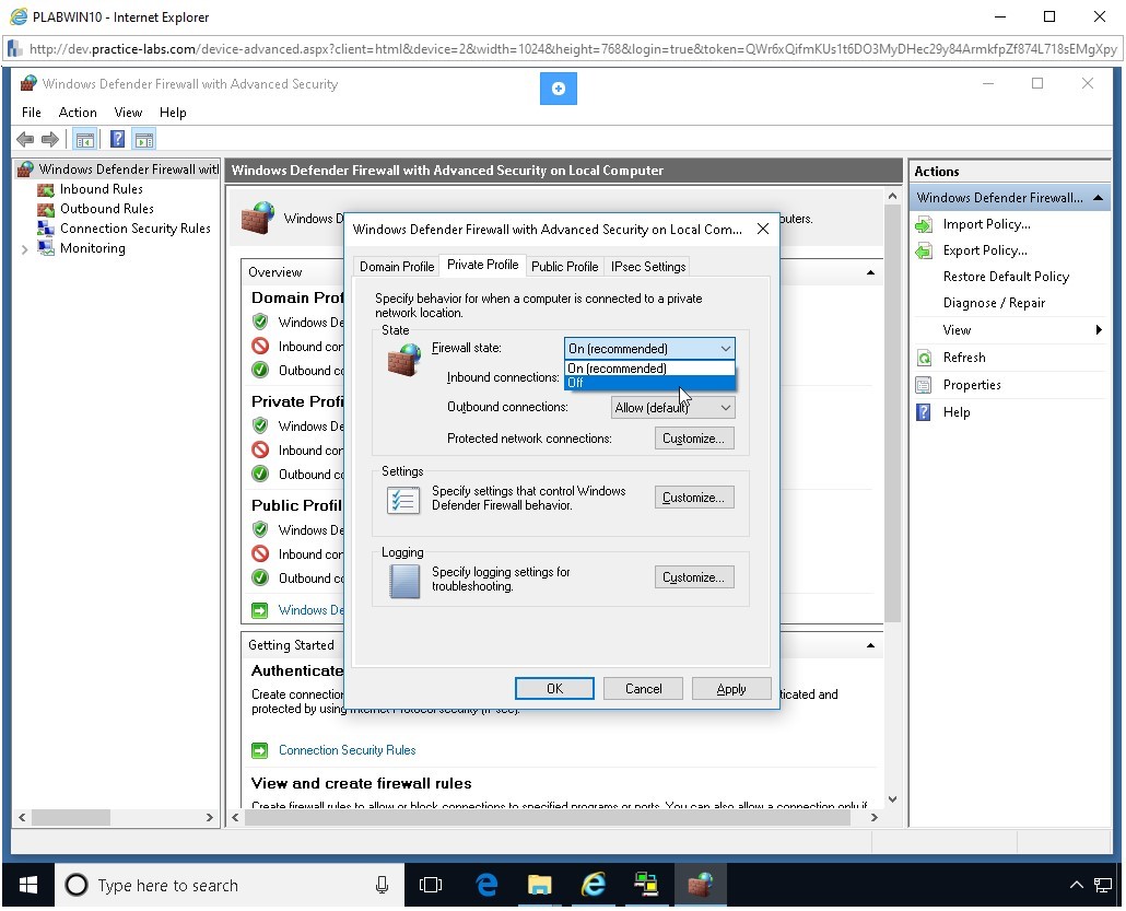 Figure 1.21 Screenshot of PLABWIN10