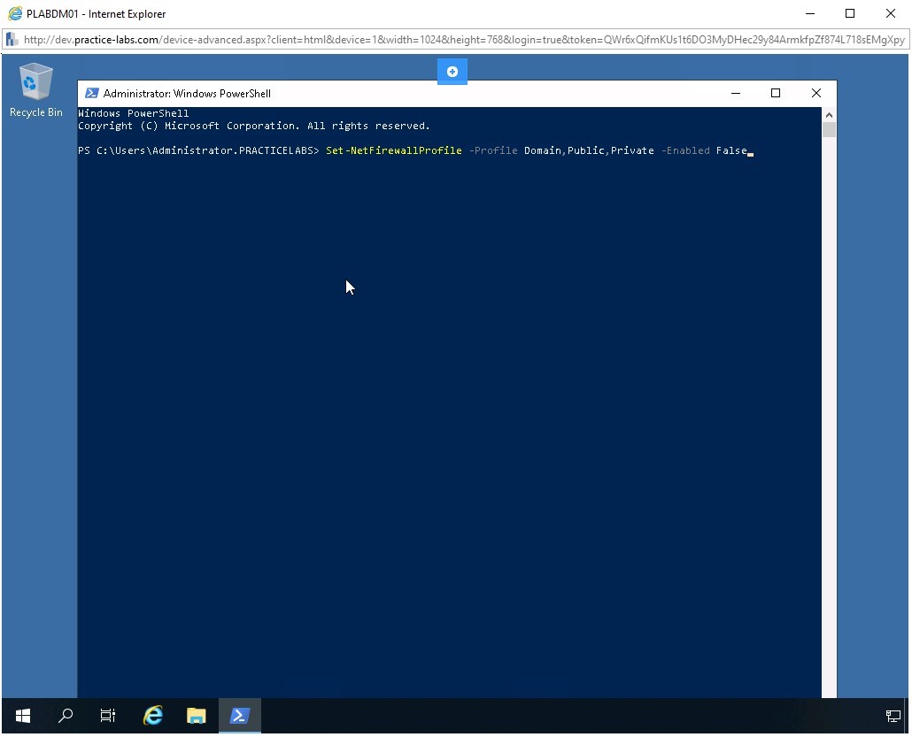 Figure 1.33 Screenshot of PLABDM01