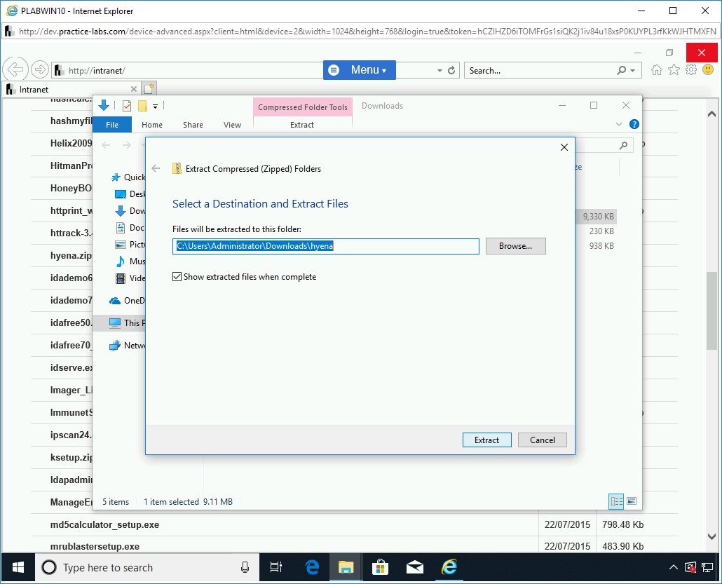 Figure 1.46 Screenshot of PLABWIN10