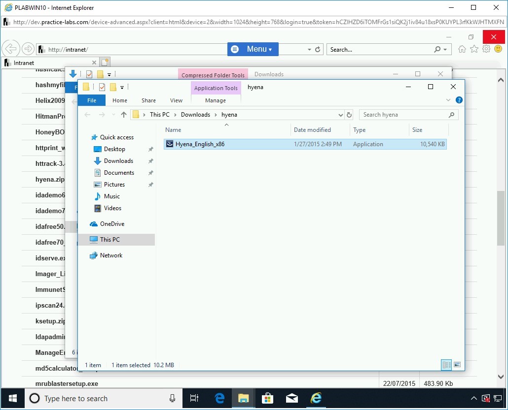 Figure 1.47 Screenshot of PLABWIN10