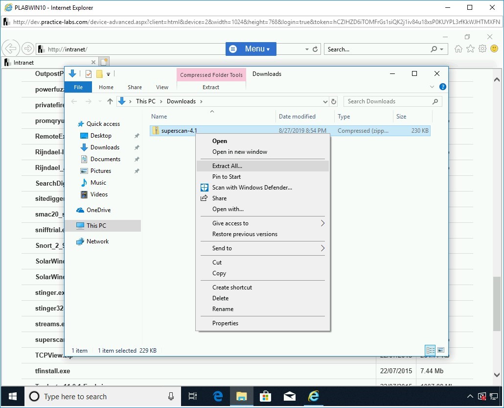 Figure 1.7 Screenshot of PLABWIN10