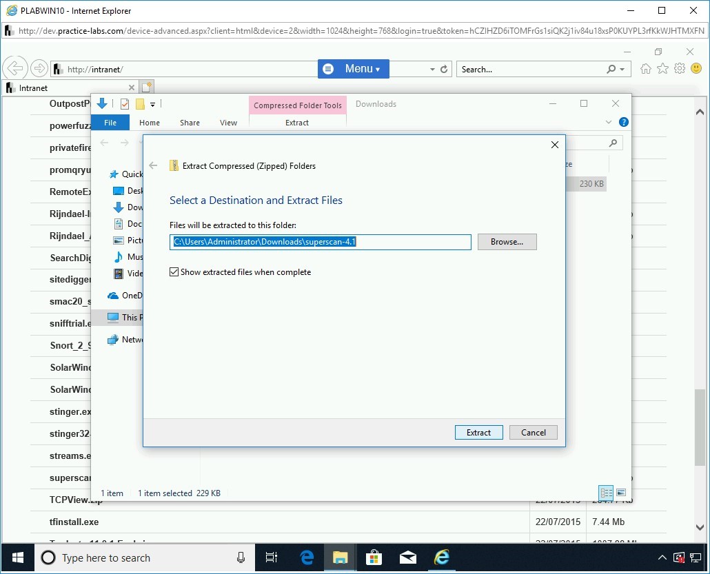 Figure 1.8 Screenshot of PLABWIN10
