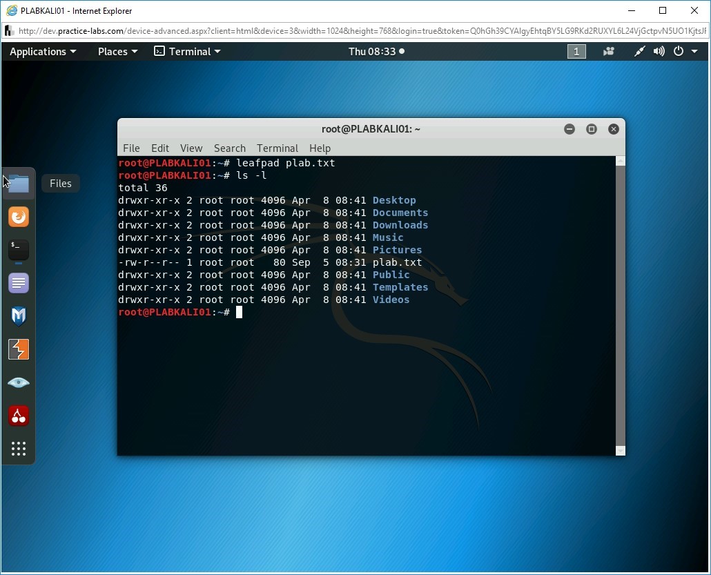 Figure 1.13 Screenshot of PLABKALI01
