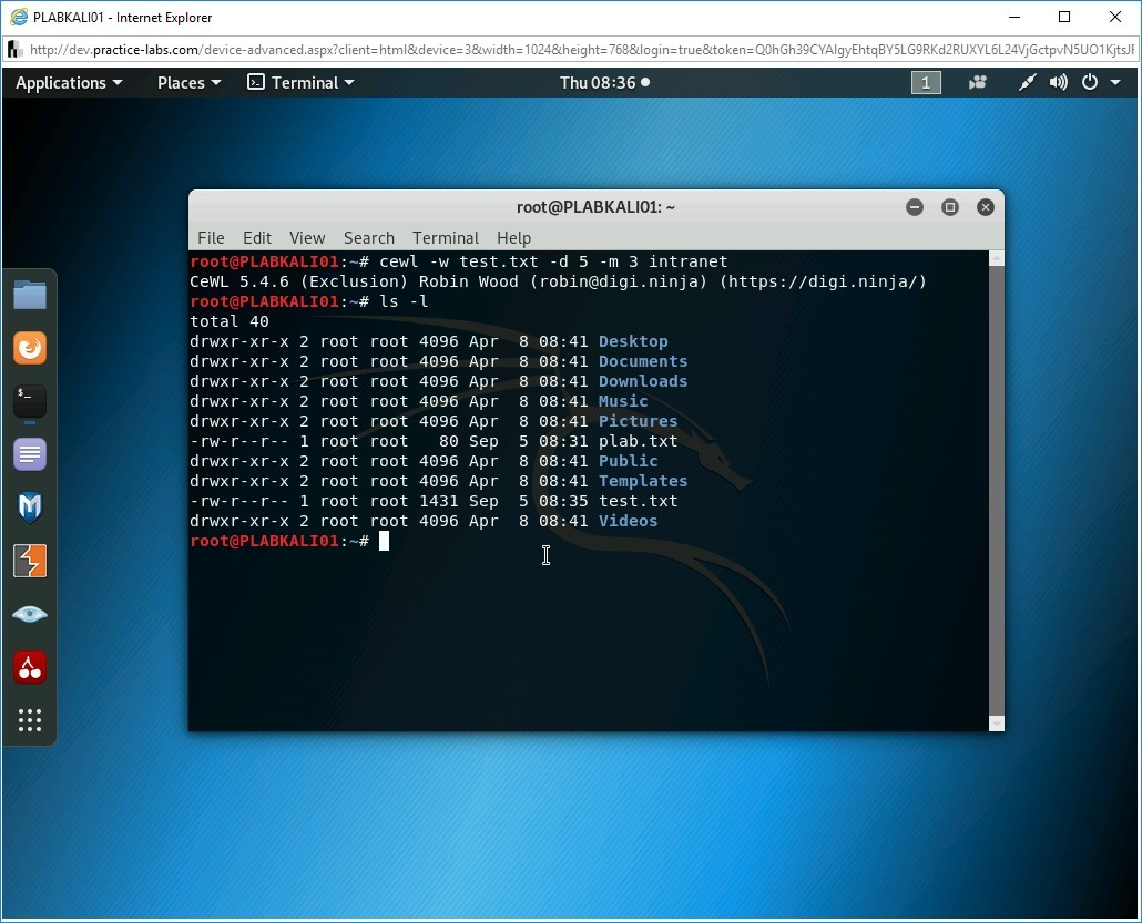 Figure 1.17 Screenshot of PLABKALI01