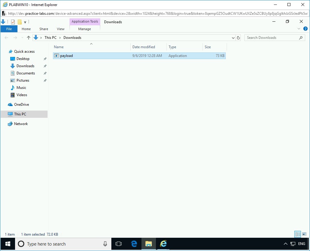 Figure 3.11 Screenshot of PLABWIN10