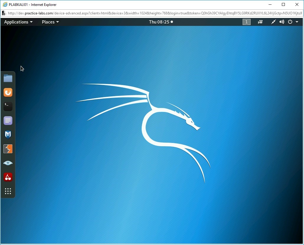 Figure 1.6 Screenshot of PLABKALI01