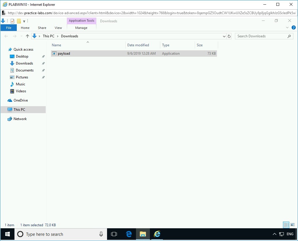 Figure 3.25 Screenshot of PLABWIN10