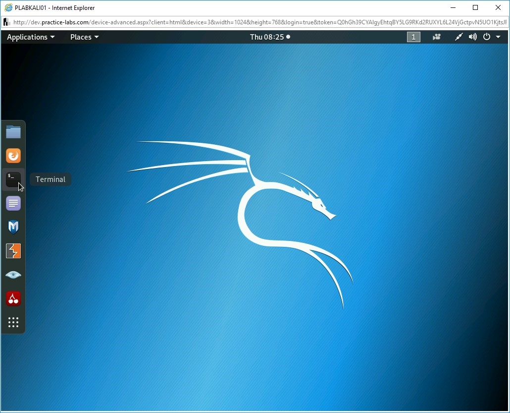 Figure 1.7 Screenshot of PLABKALI01
