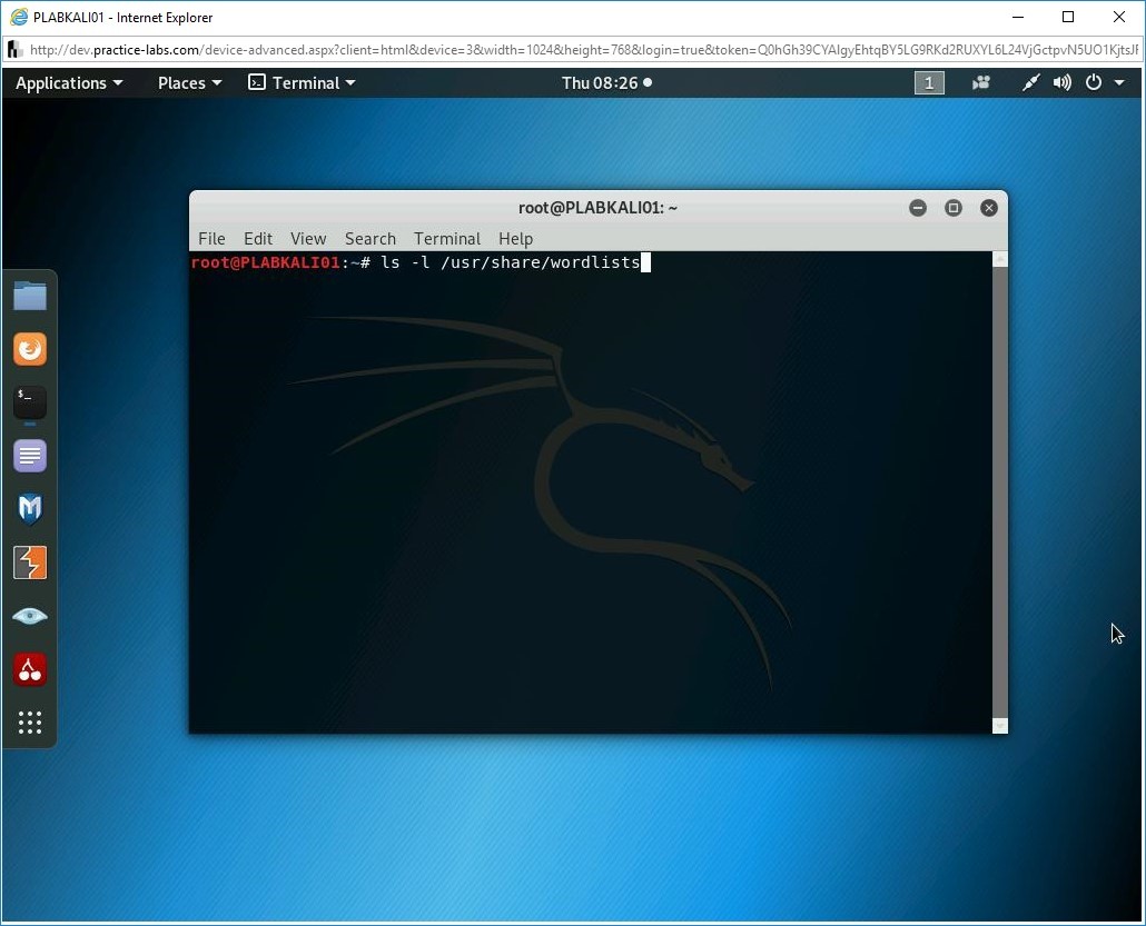 Figure 1.8 Screenshot of PLABKALI01