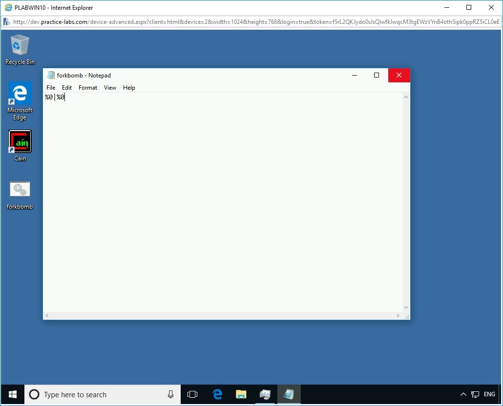 Figure 1.10 Screenshot of PLABWIN10