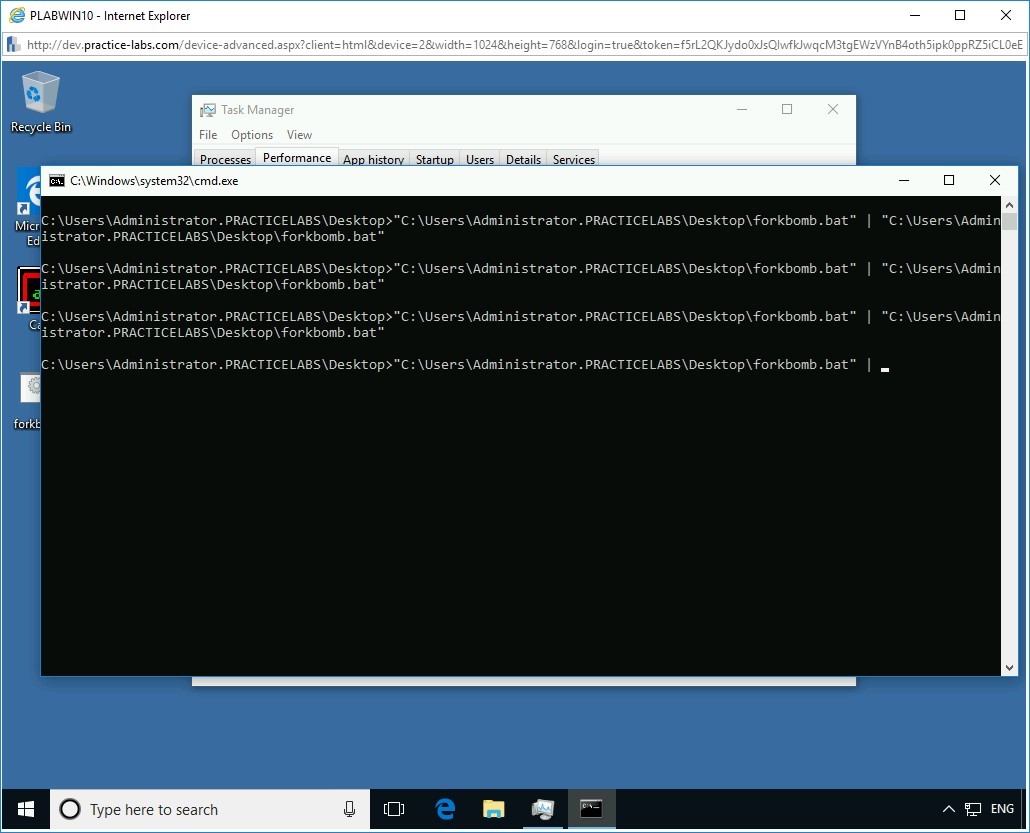 Figure 1.14 Screenshot of PLABWIN10