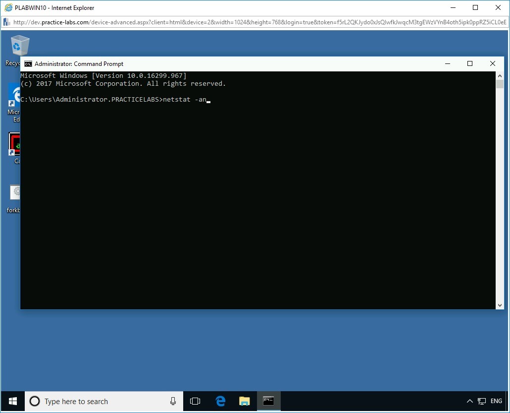 Figure 2.3 Screenshot of PLABWIN10