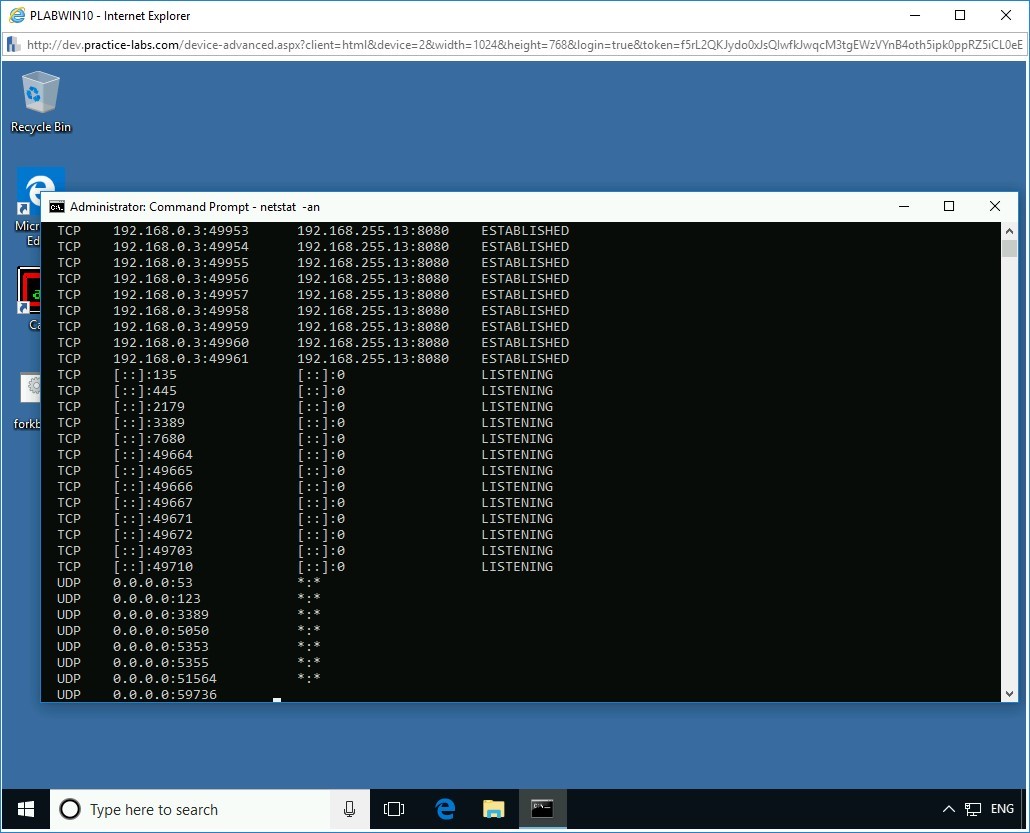 Figure 2.4 Screenshot of PLABWIN10
