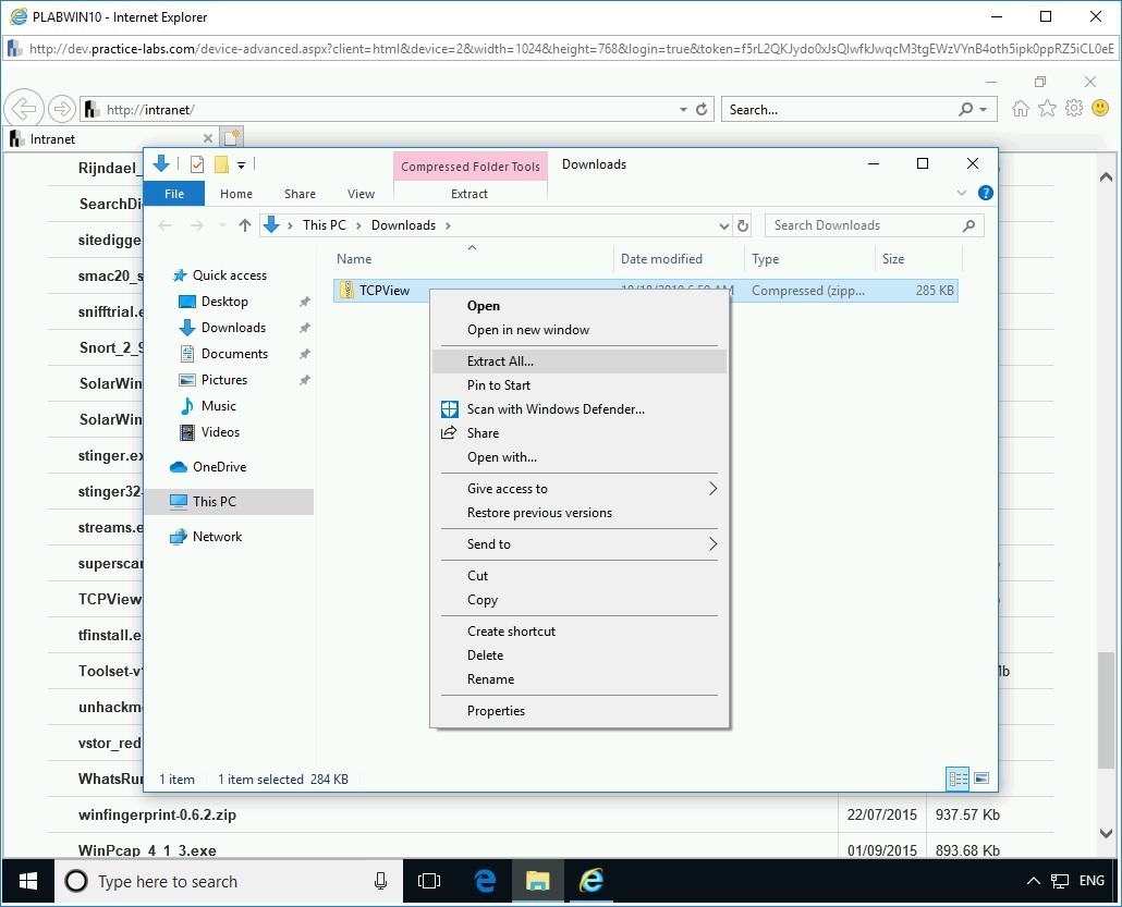 Figure 3.8 Screenshot of PLABWIN10