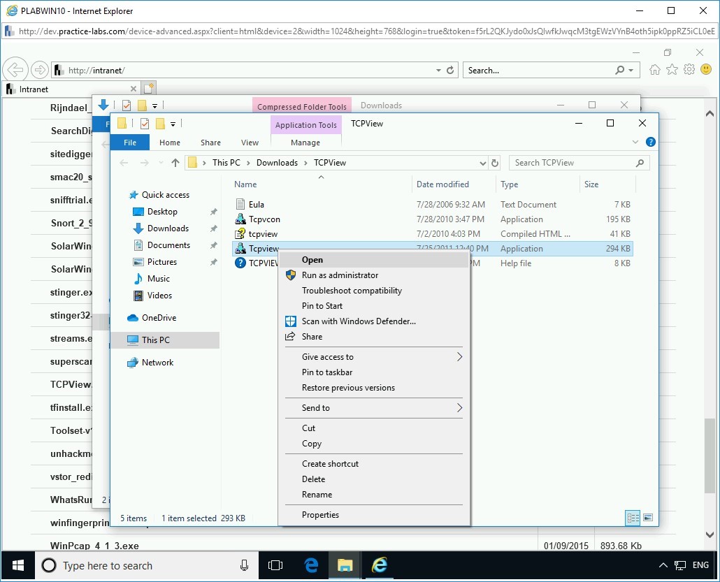 Figure 3.10 Screenshot of PLABWIN10
