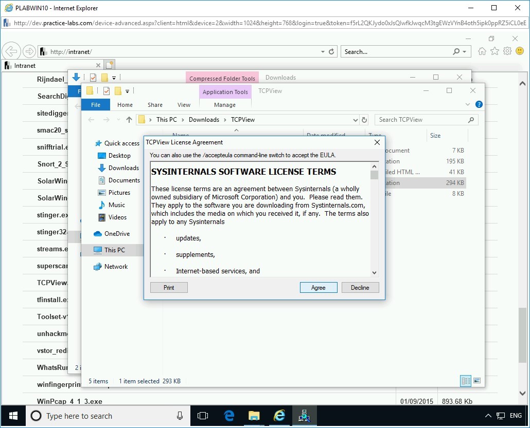 Figure 3.11 Screenshot of PLABWIN10