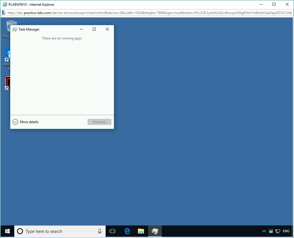 Figure 1.3 Screenshot of PLABWIN10
