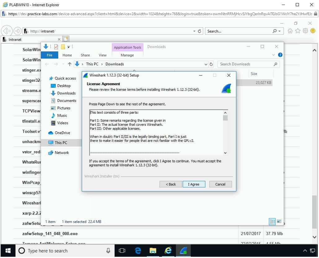 Figure 1.10 Screenshot of PLABWIN10