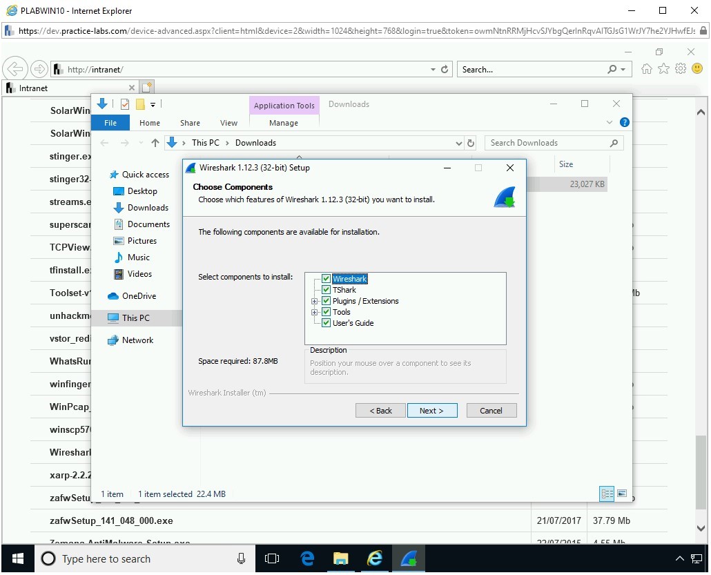 Figure 1.11 Screenshot of PLABWIN10