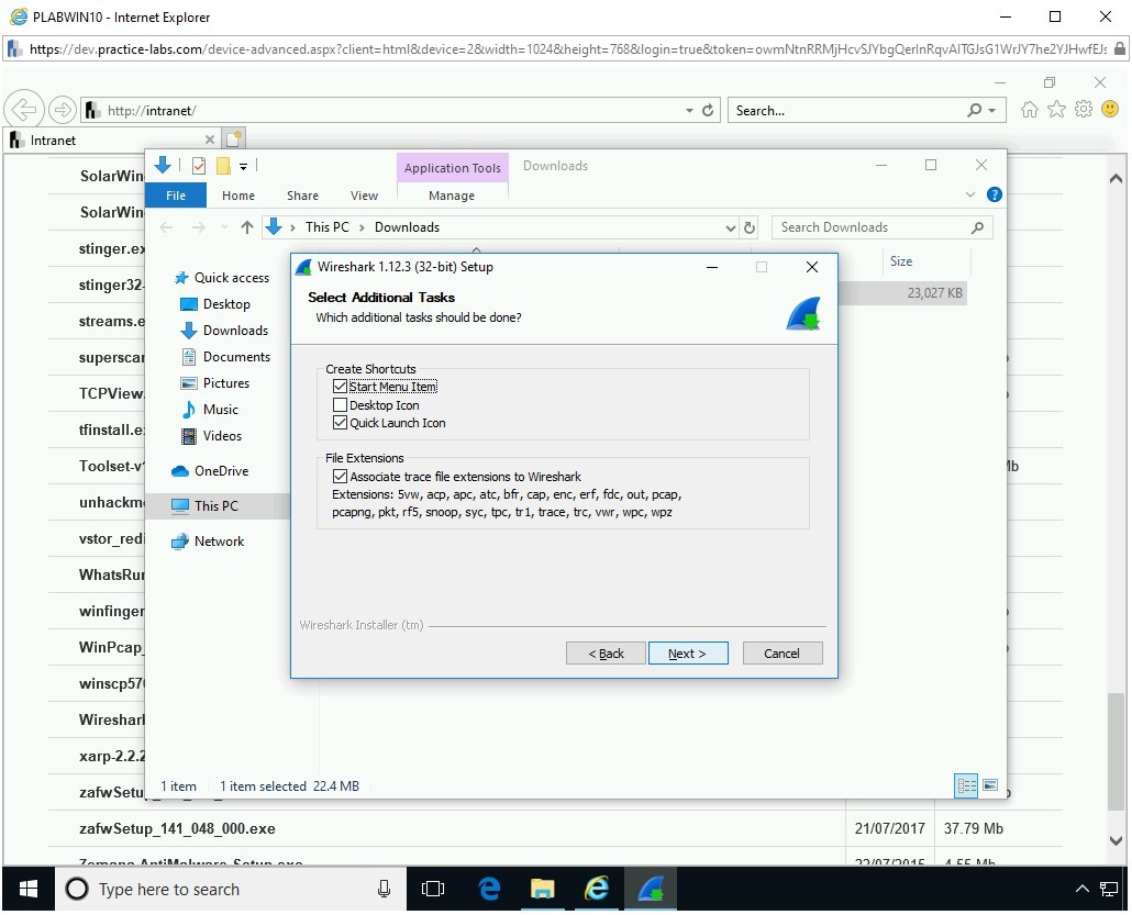 Figure 1.12 Screenshot of PLABWIN10