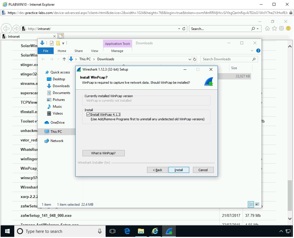 Figure 1.14 Screenshot of PLABWIN10
