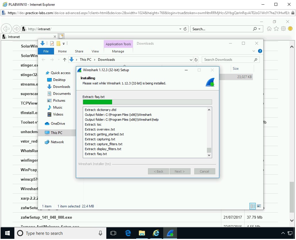 Figure 1.15 Screenshot of PLABWIN10