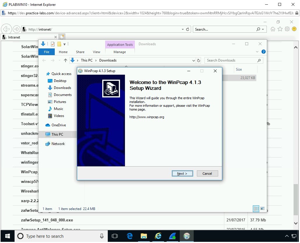 Figure 1.16 Screenshot of PLABWIN10