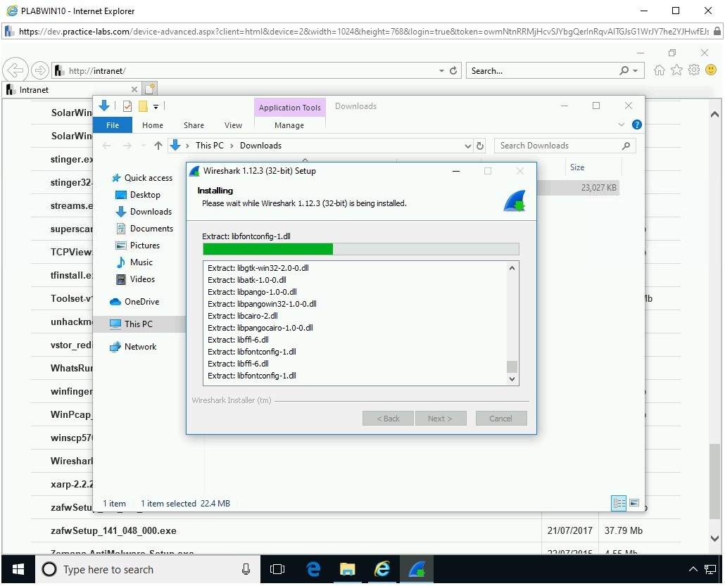 Figure 1.20 Screenshot of PLABWIN10