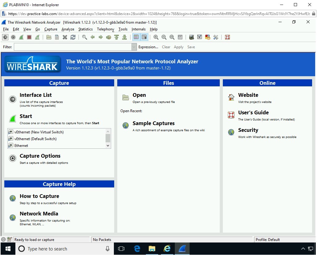 Figure 1.24 Screenshot of PLABWIN10