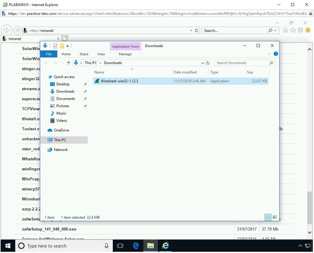 Figure 1.8 Screenshot of PLABWIN10