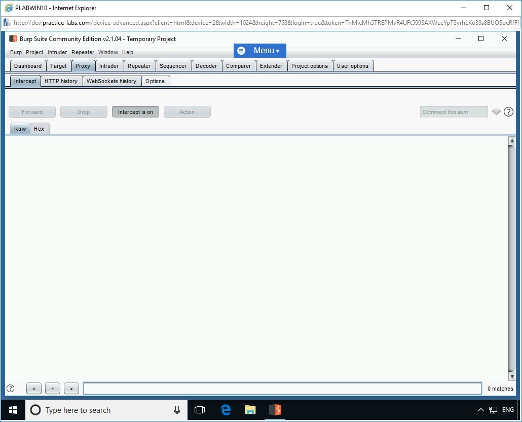 Figure 1.28 Screenshot of PLABWIN10