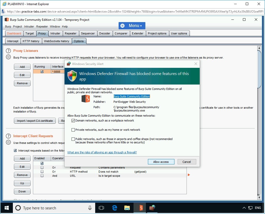 Figure 1.31 Screenshot of PLABWIN10