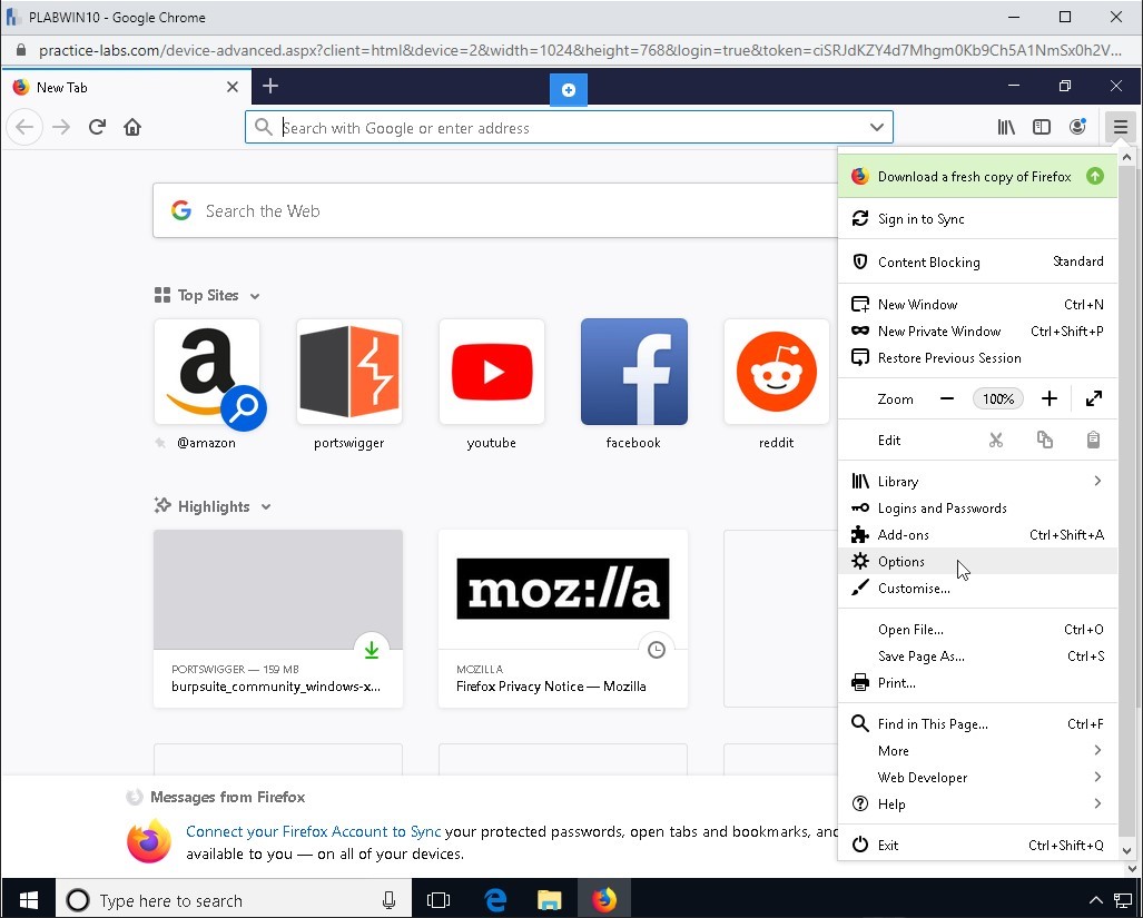 Figure 1.39 Screenshot of PLABWIN10