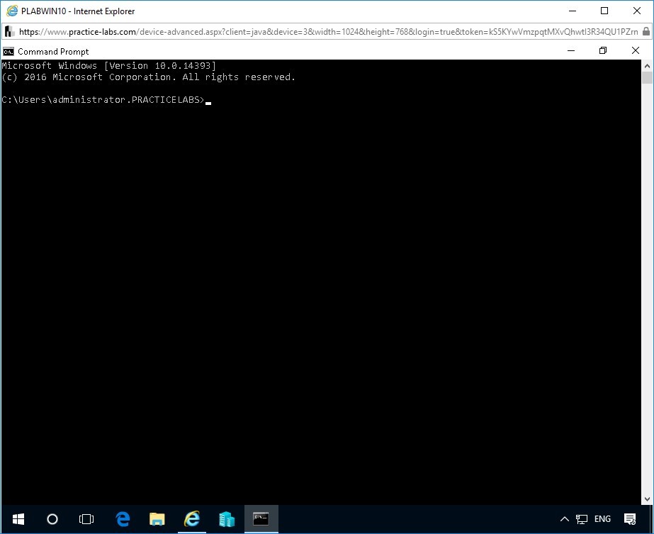 Figure 1.1 Screenshot of the Command Prompt window on PLABWIN10