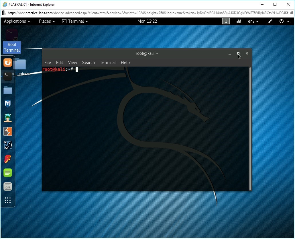 Figure 1.10 Screenshot of PLABKALI01
