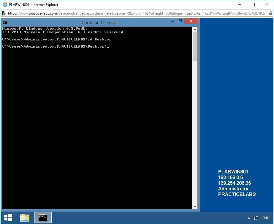 Figure 2.5 Screenshot of the Command Prompt window on PLABWIN801