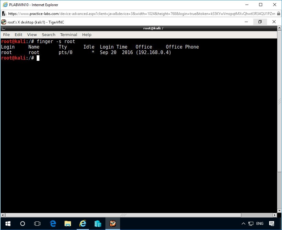 Figure 3.1 Screenshot of root terminal window