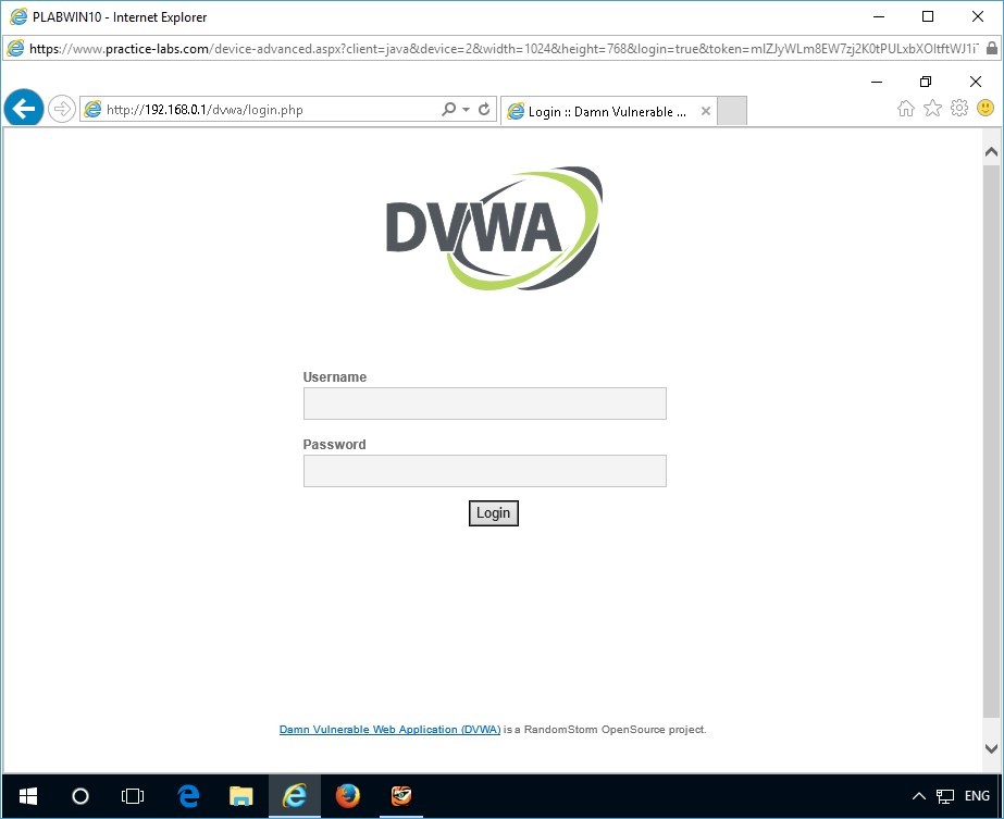 Figure 1.17 Screenshot of Internet Explorer window